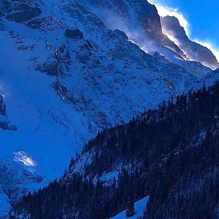 Romantisches Plaetzchen In Der Natur Grindelwald Exterior photo