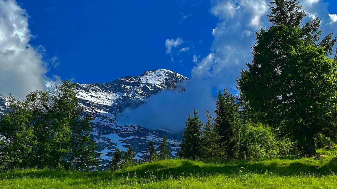 Romantisches Plaetzchen In Der Natur Grindelwald Exterior photo