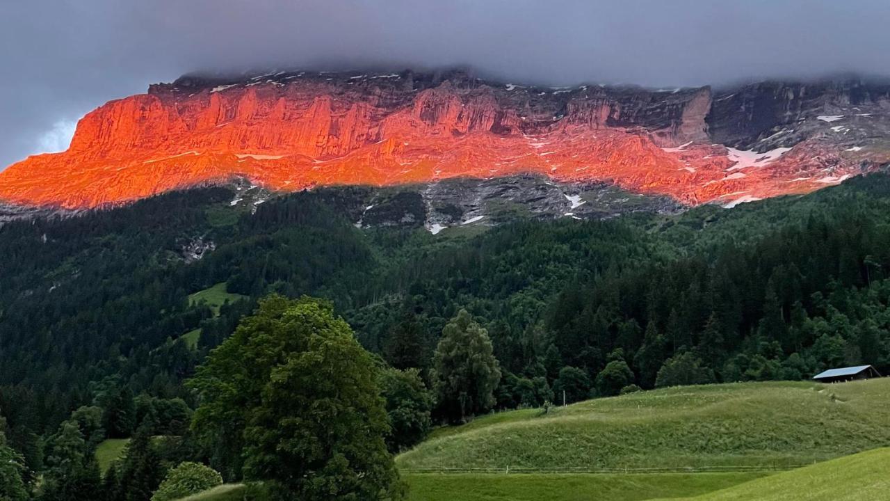 Romantisches Plaetzchen In Der Natur Grindelwald Exterior photo