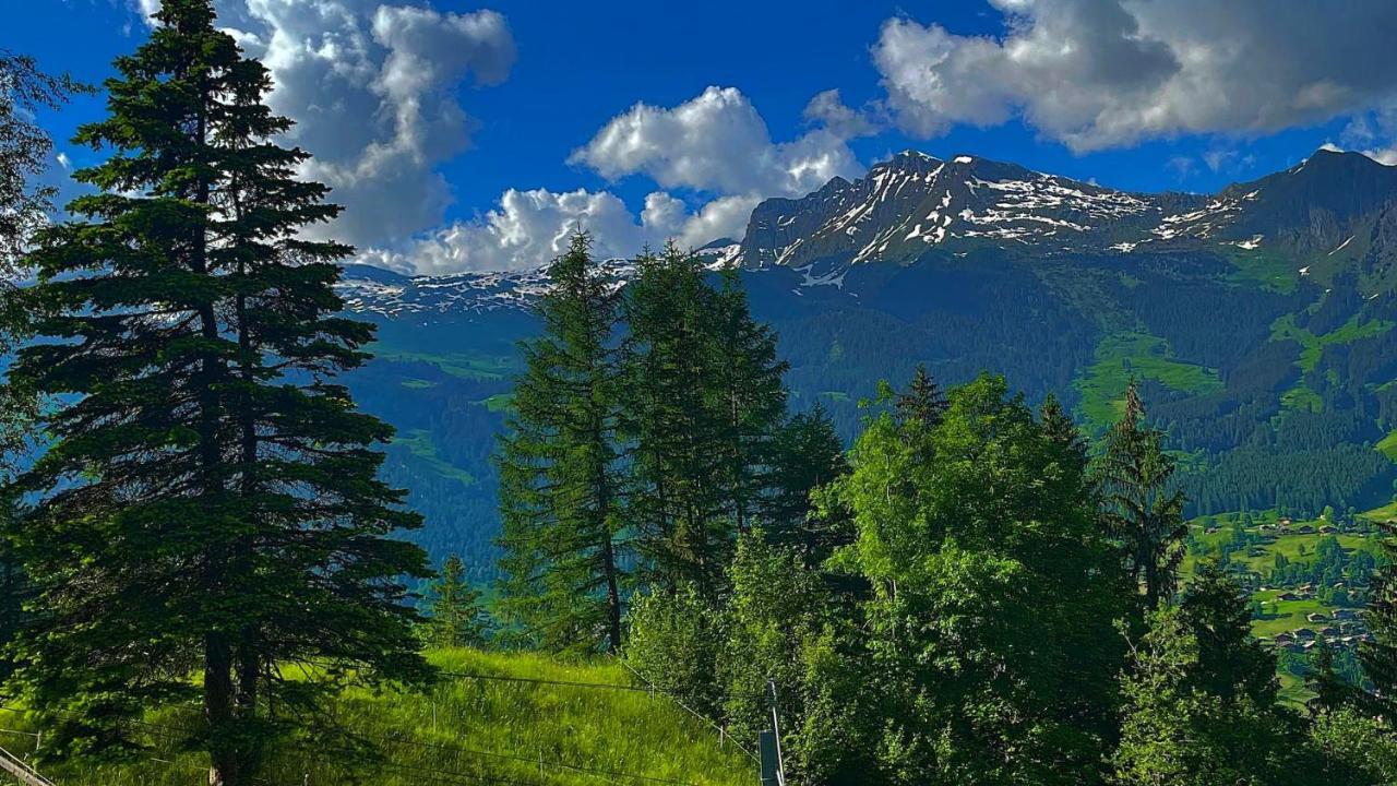 Romantisches Plaetzchen In Der Natur Grindelwald Exterior photo