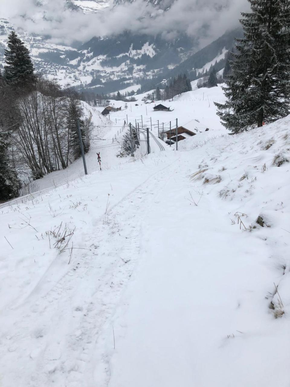 Romantisches Plaetzchen In Der Natur Grindelwald Exterior photo