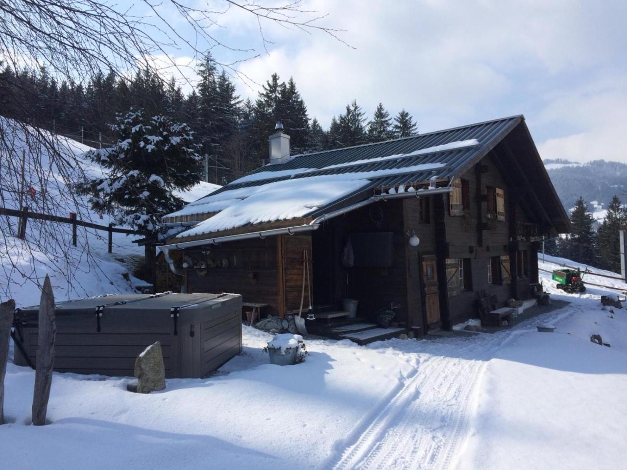 Romantisches Plaetzchen In Der Natur Grindelwald Exterior photo