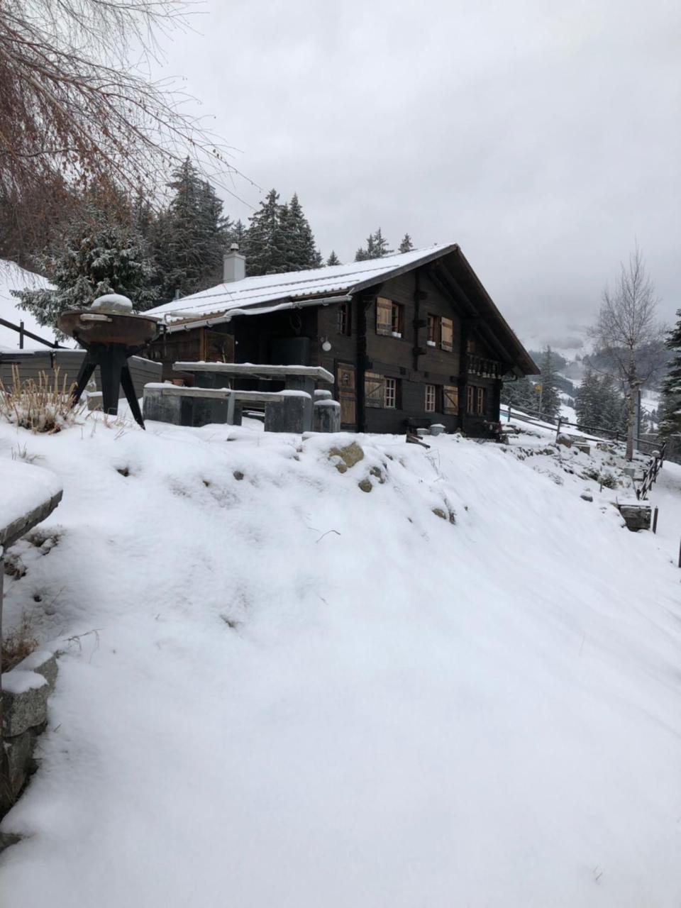 Romantisches Plaetzchen In Der Natur Grindelwald Exterior photo