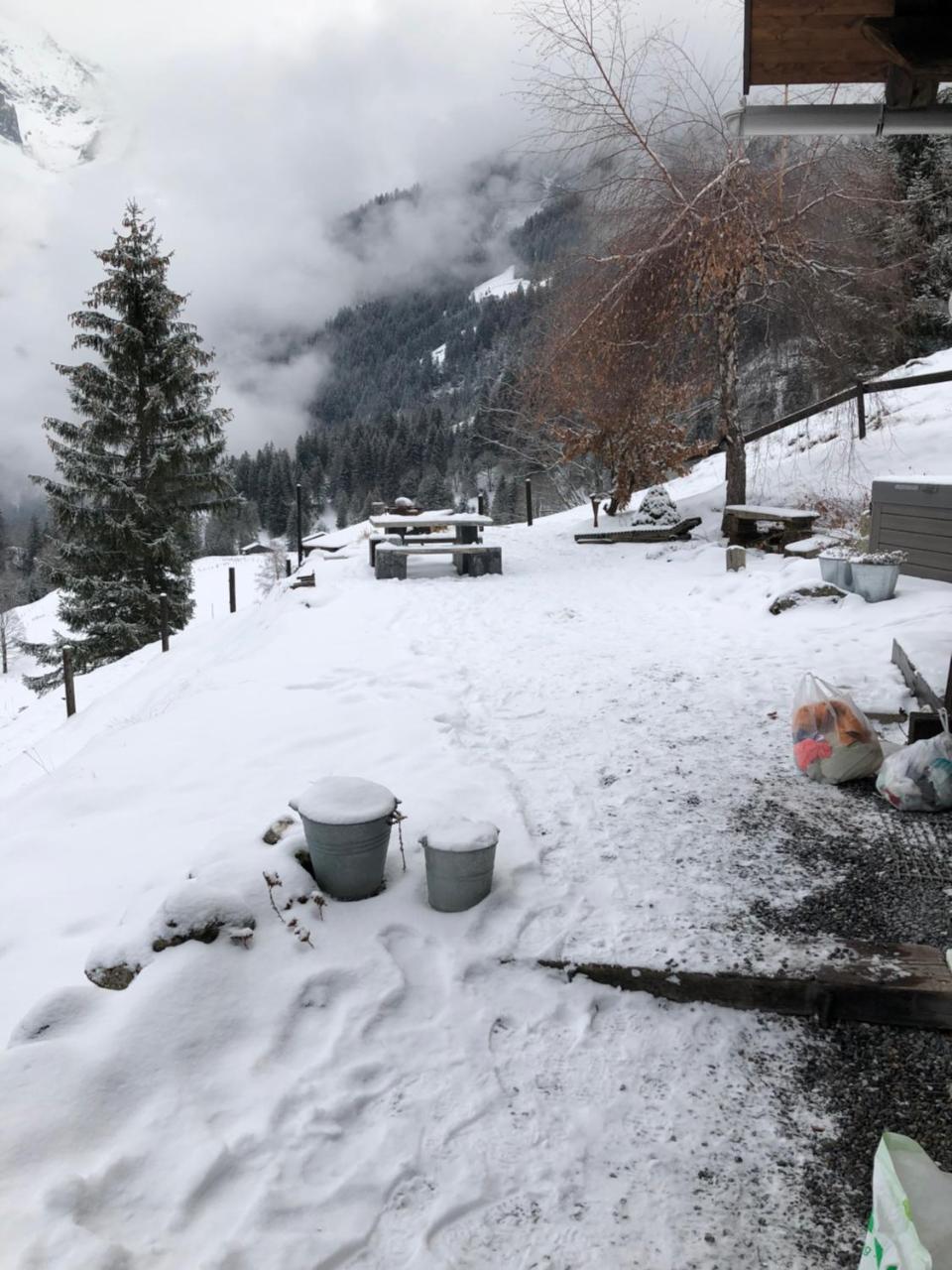 Romantisches Plaetzchen In Der Natur Grindelwald Exterior photo